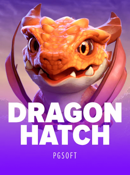 HashDice Casino – Cộng đồng cá cược sôi động